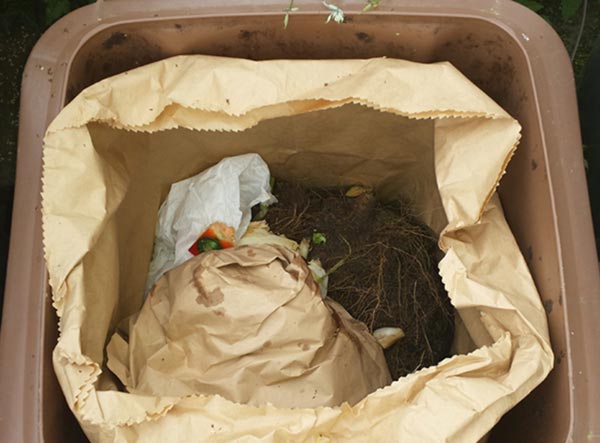 Foto: Ein Vorsammeleimer für Bioabfälle mit eingelegter Biotüte aus Papier