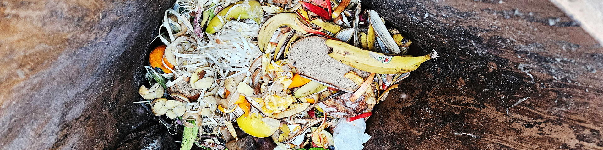 Foto: Blick in eine richtig befüllte Biotonne, Obst und Gemüsereste sind lose eingefüllt