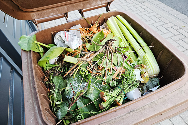 Foto: Blick in eine richtig befüllte Biotonne (keine Plastiktüten)