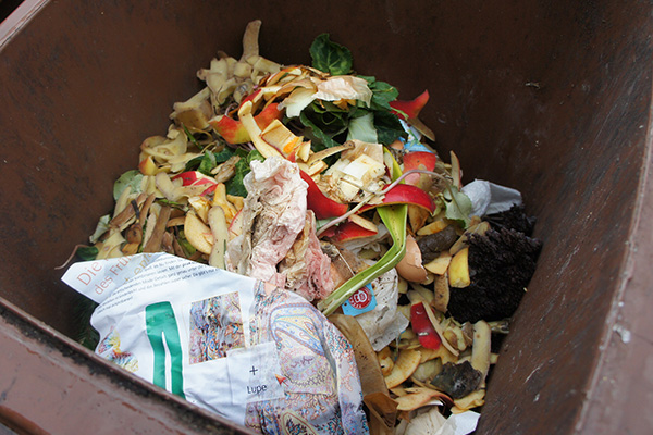 Foto: Obst- und Gemüseschalen in einer Biotonne, zum Teil in Zeitungspapier eingewickelt