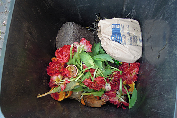 Foto: Tulpen und Bioabfälle in einer Biotüte aus Papier in einer Biotonne