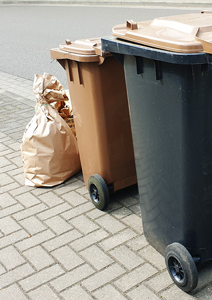 Foto: Biotonnen mit beigestelltem Gartenabfallsack